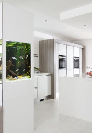 Кухня с аквариумом дизайн фото