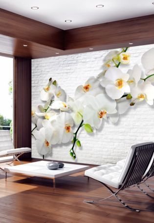 Орхидеи на стене
