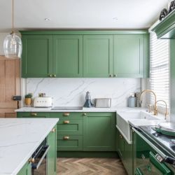 Зеленая кухня в доме