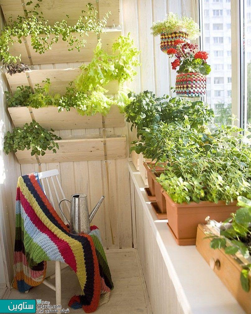 Рассада на балконе