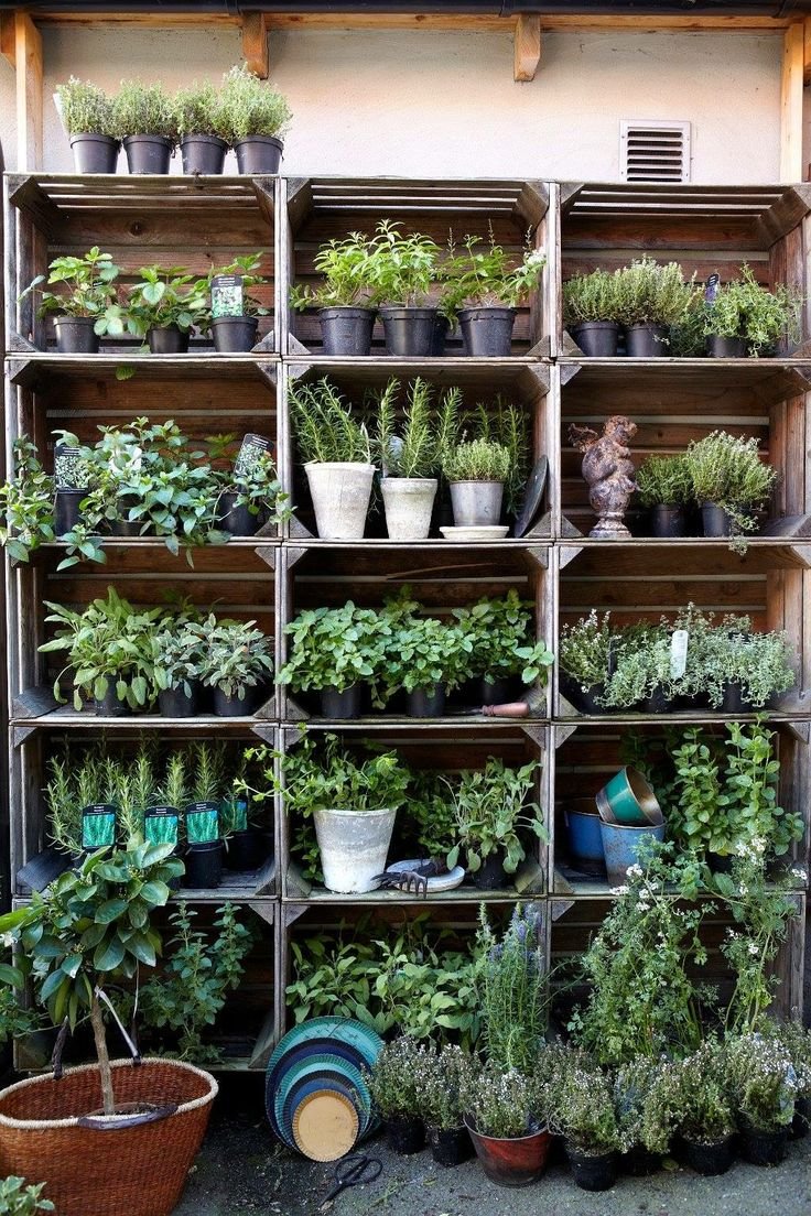 Рассада на балконе