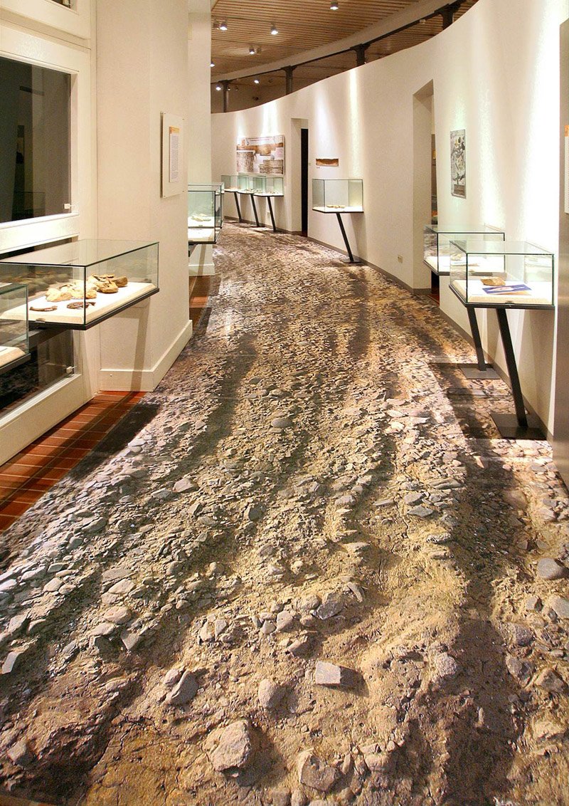 Поли Флоор наливной пол