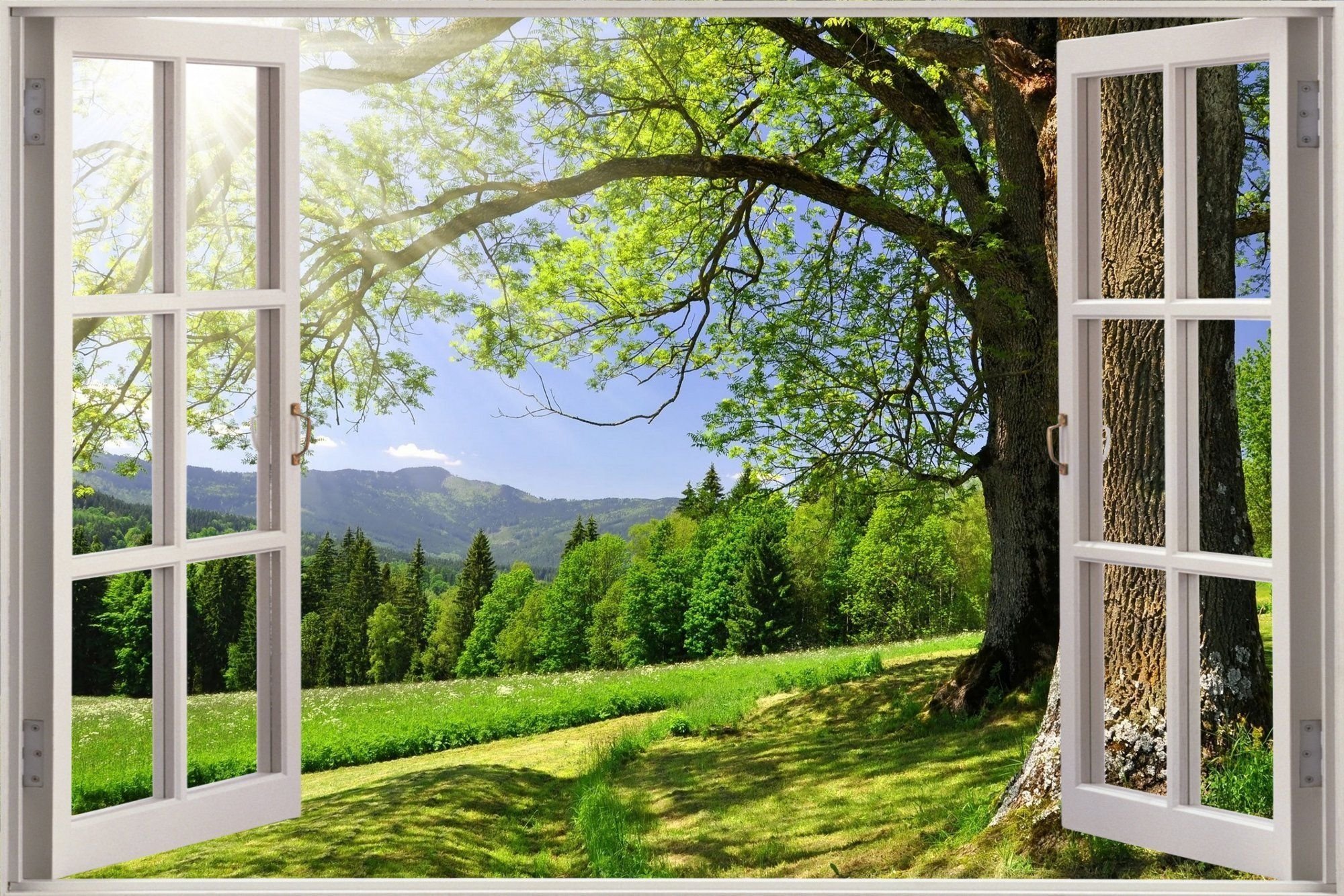 Iz okna. Окно в природу. Вид из окна. Красивые окна. Фотообои окно.