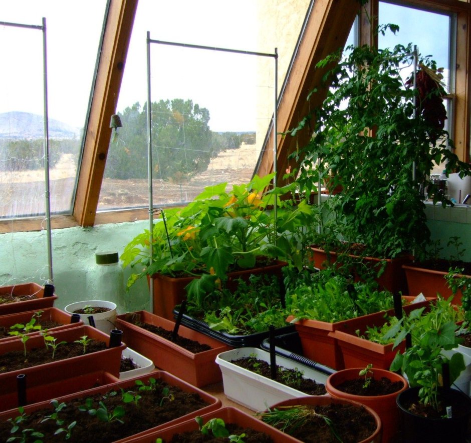 Красивый огород на балконе