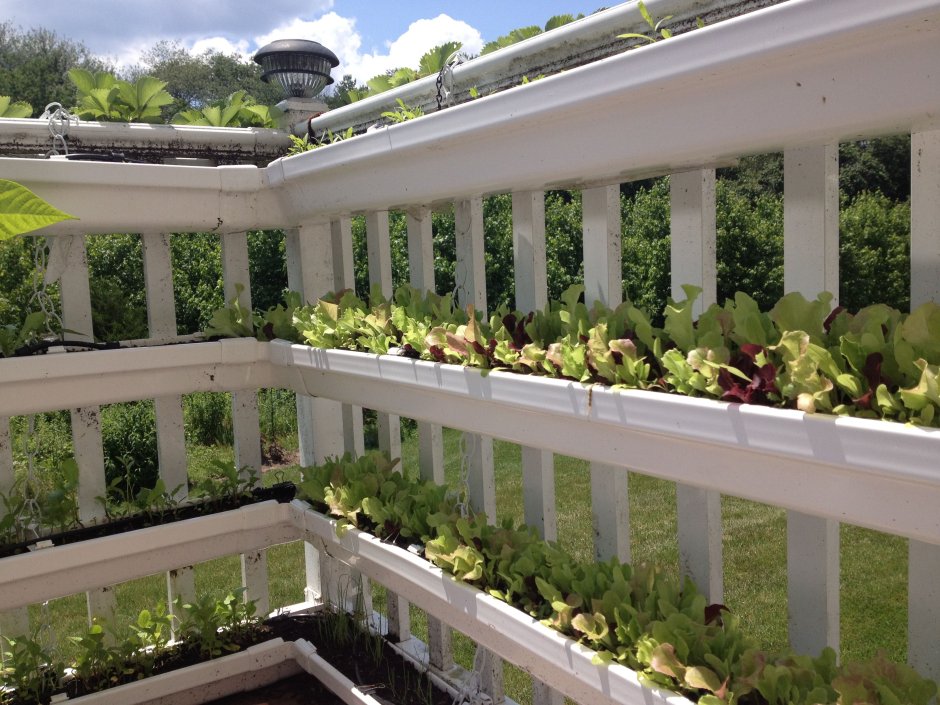 Огород на балконе