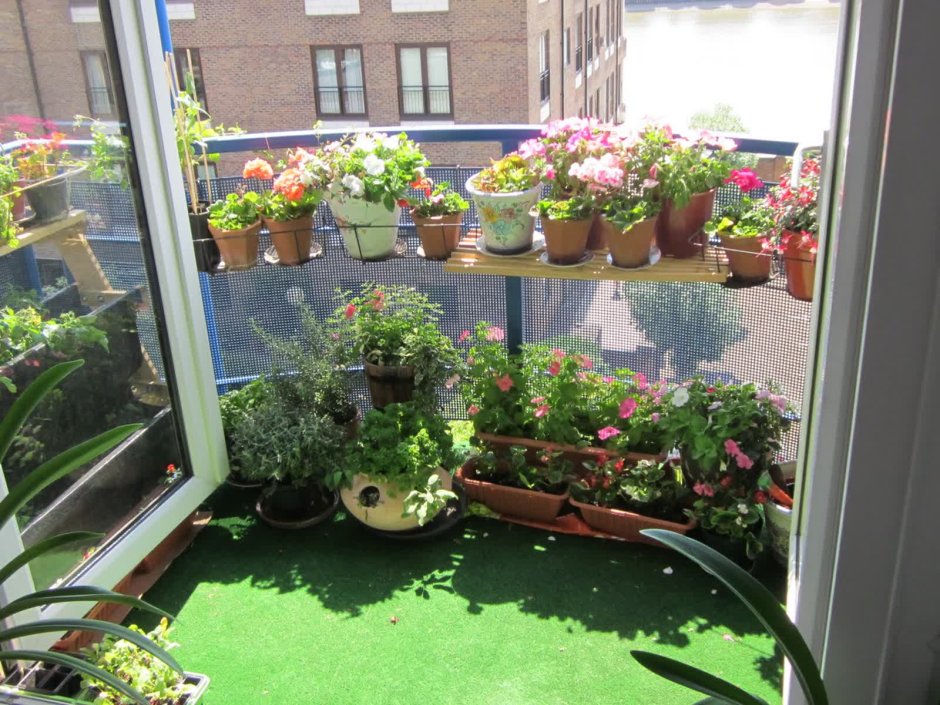 Вертикальный огород на балконе