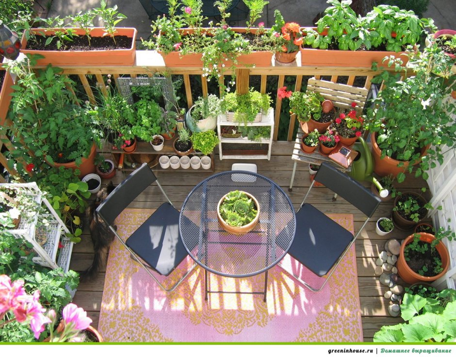 Огород на балконе