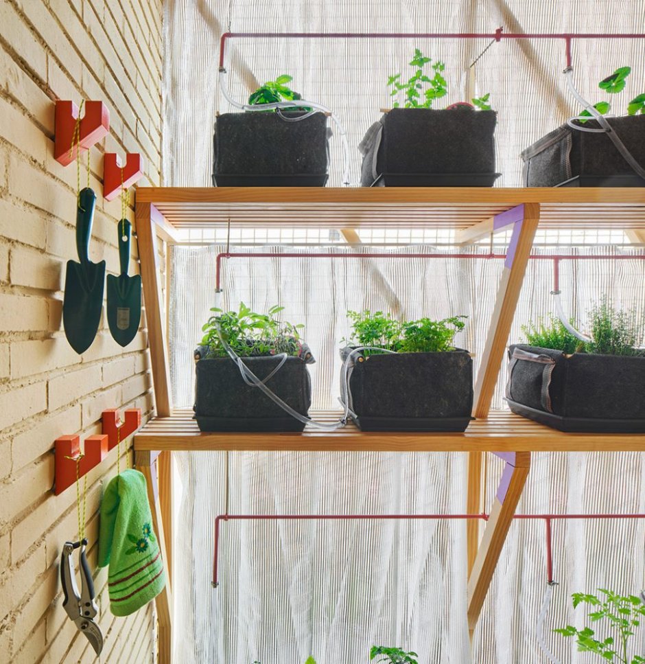 Огород на балконе