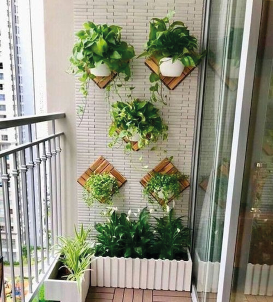 Балконное Садоводство