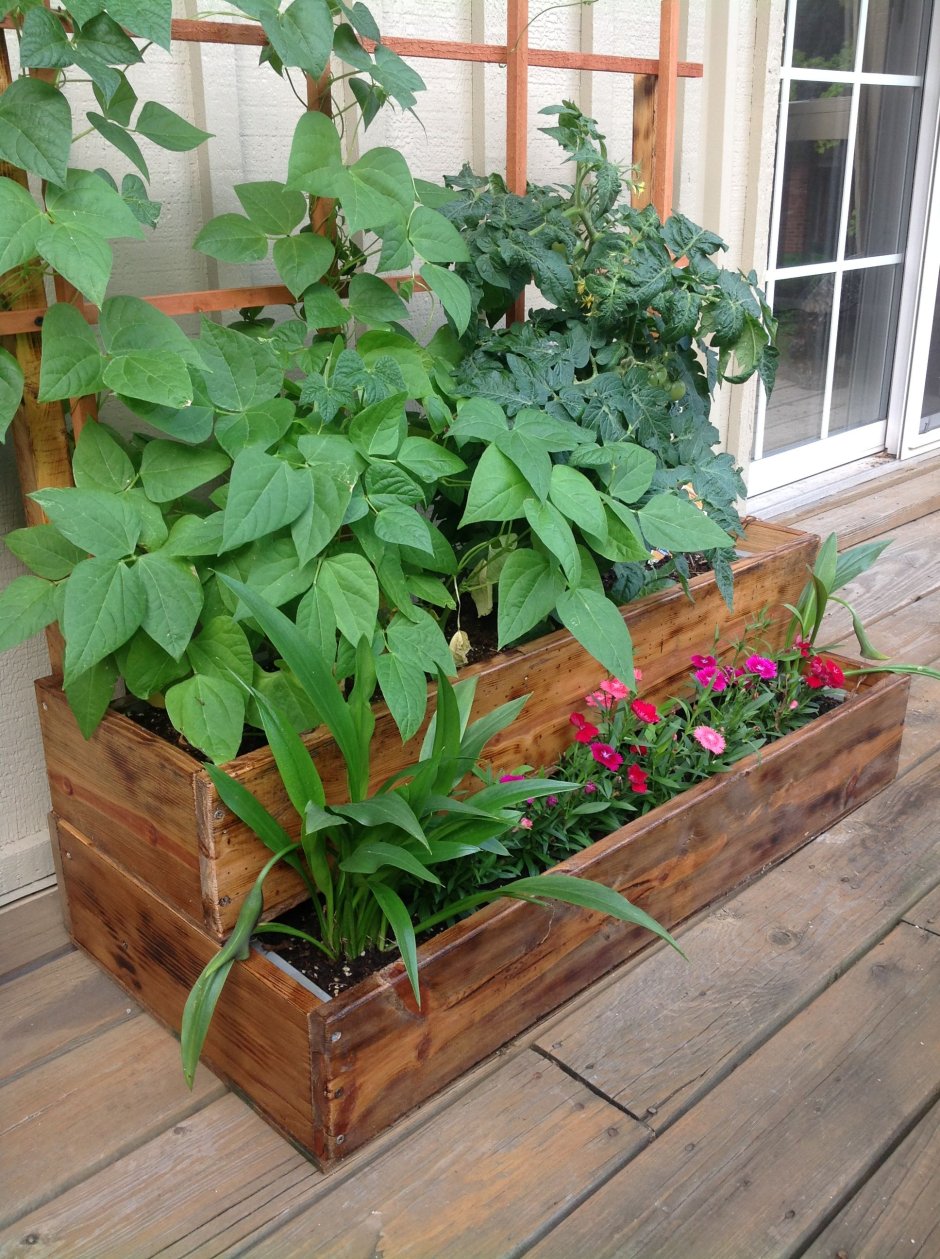 Грядки на балконе