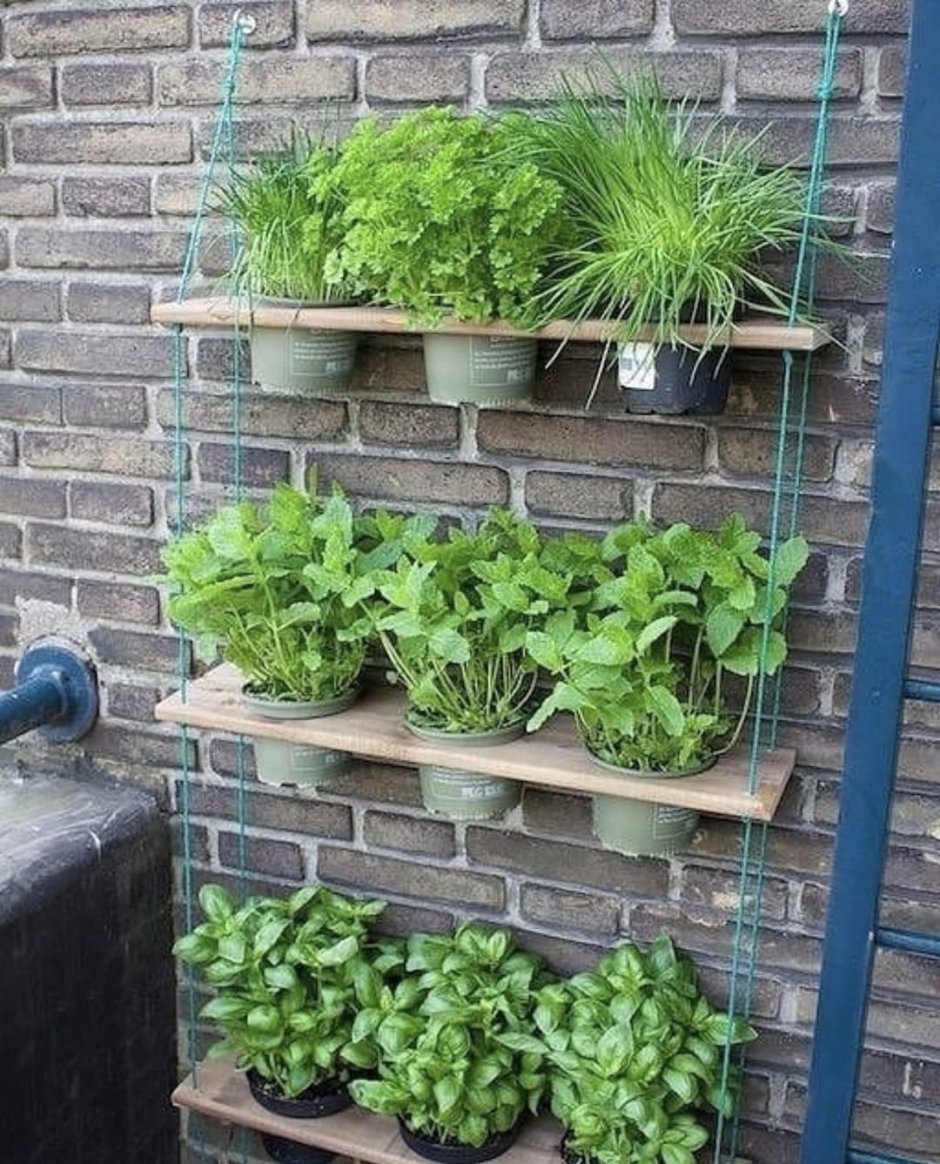 Вертикальные грядки для цветов