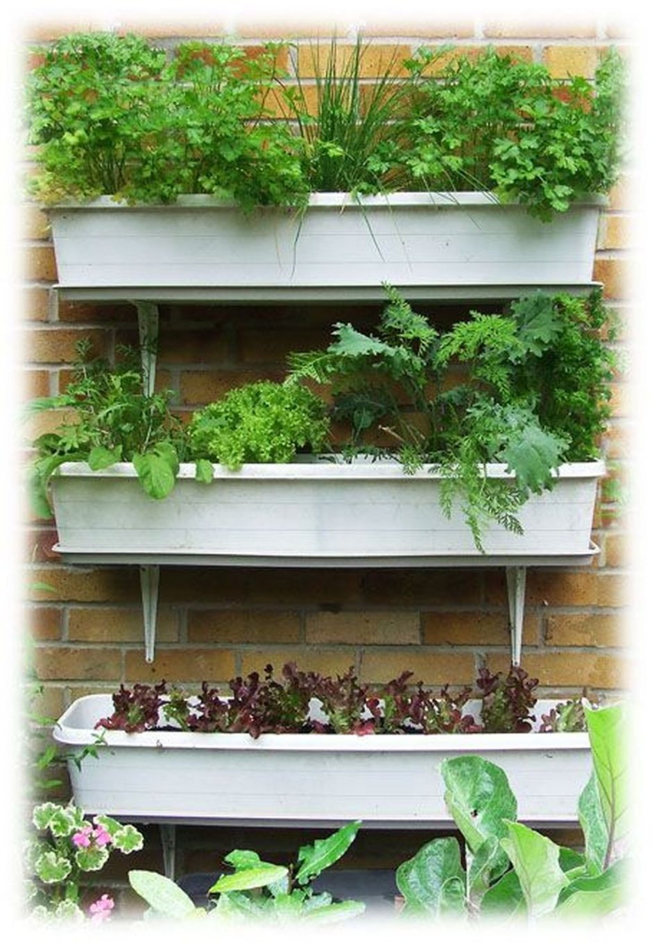 Огород на балконбалконе