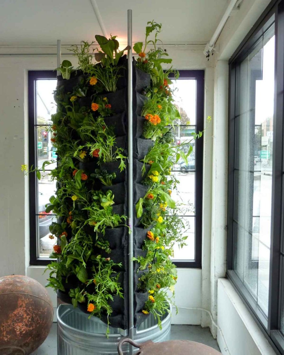 Огород на застекленной лоджии