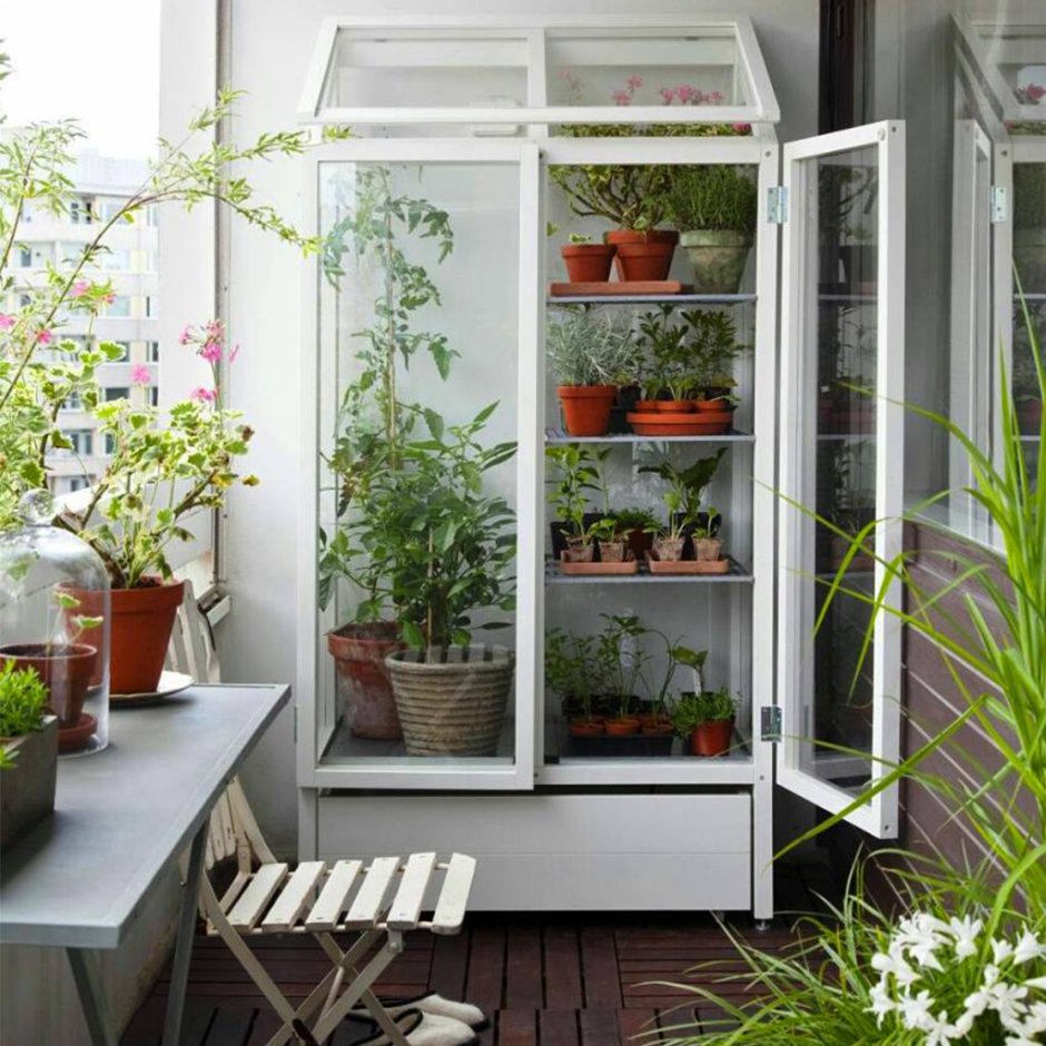 Мини огород на балконе в квартире