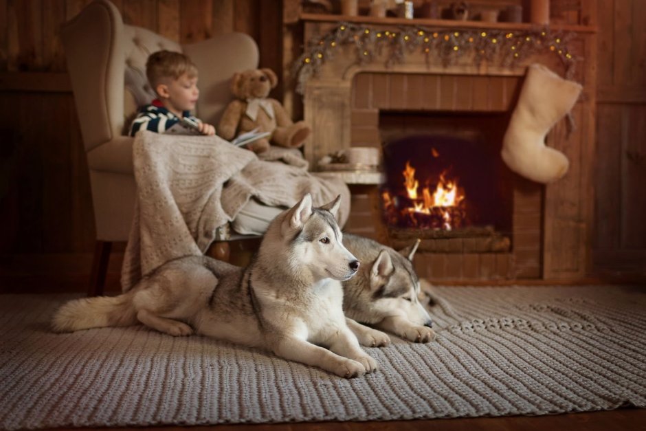 Собака у камина