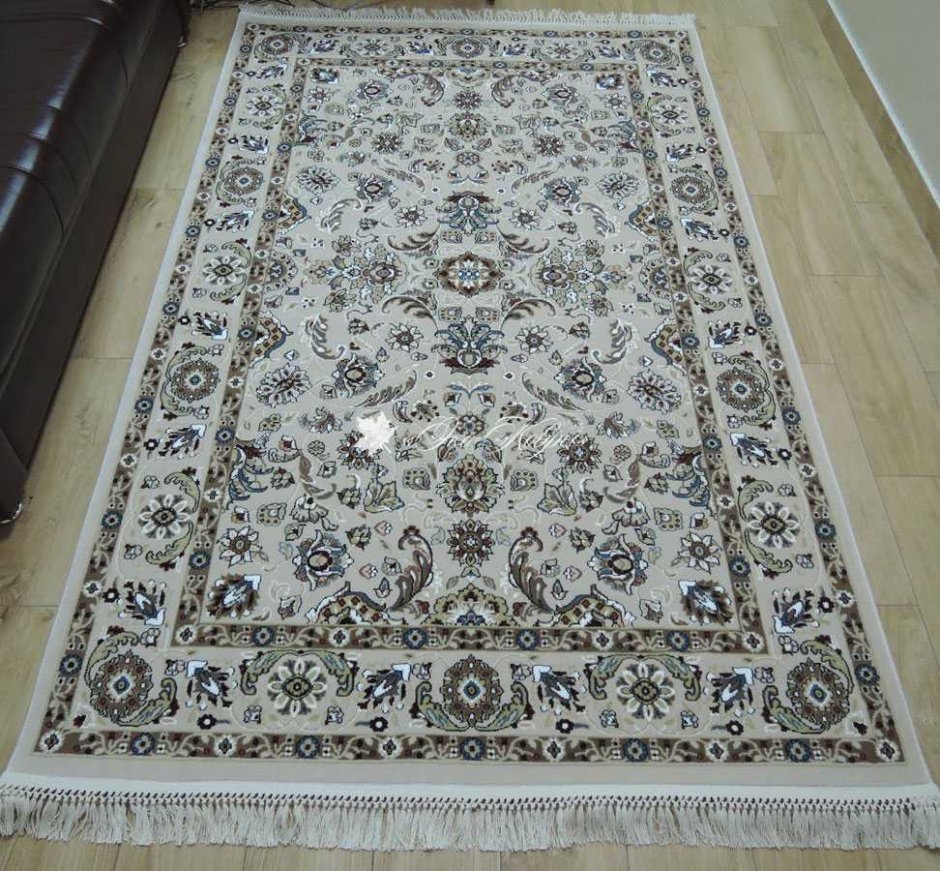 Палас Шегги