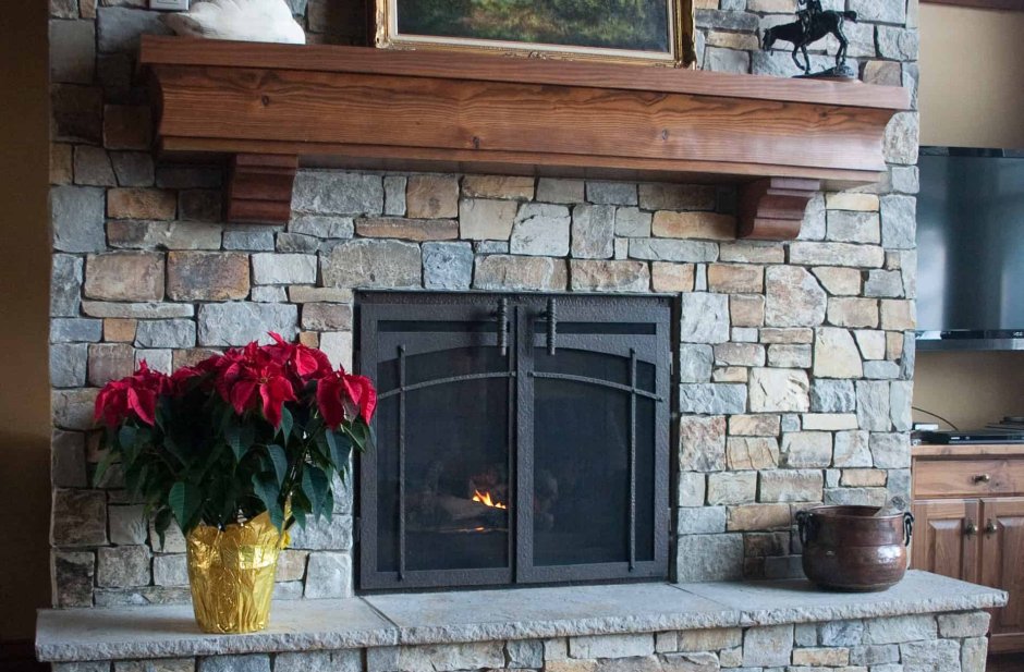 Камин со стеклянной дверцей