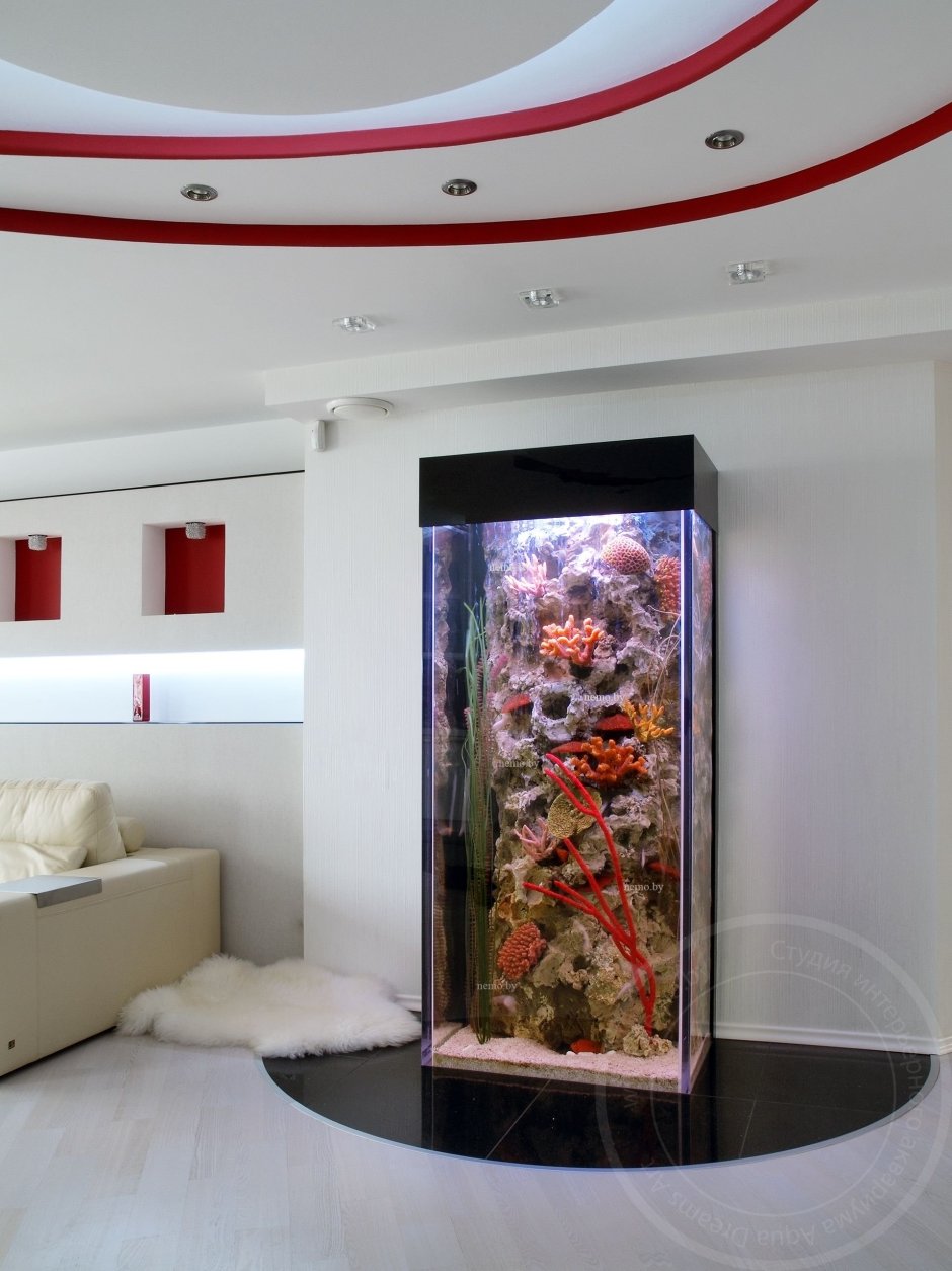 Красивые аквариумы в квартире