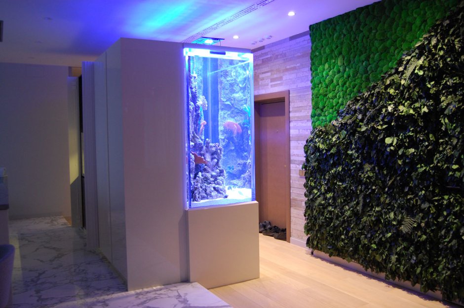 Вертикальный аквариум