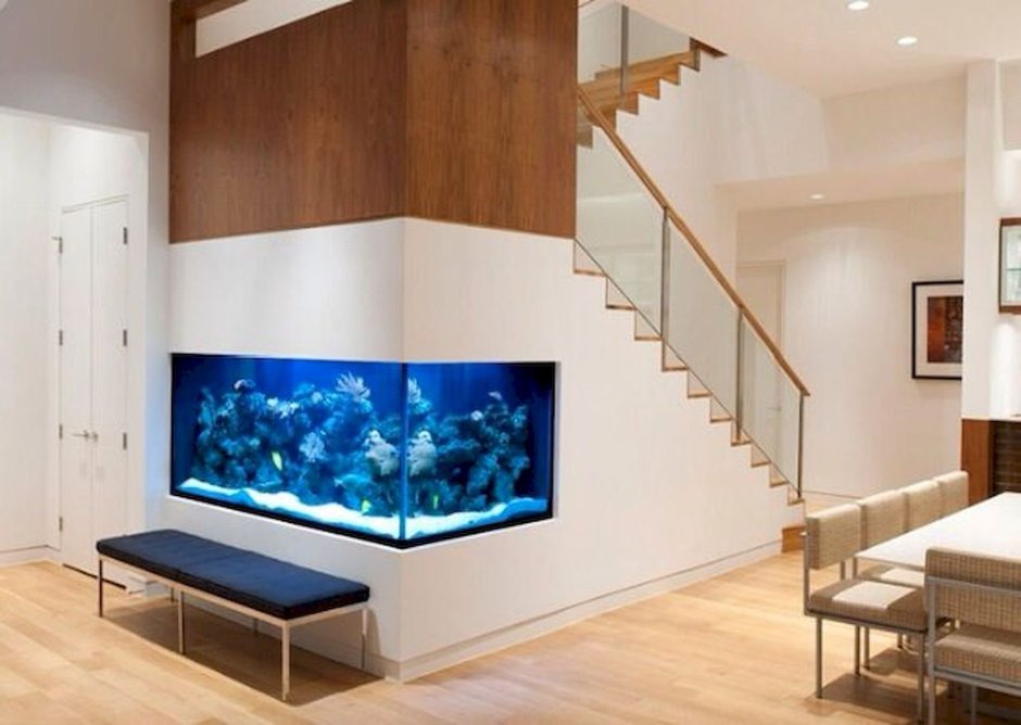 Встроенные аквариумы в стену