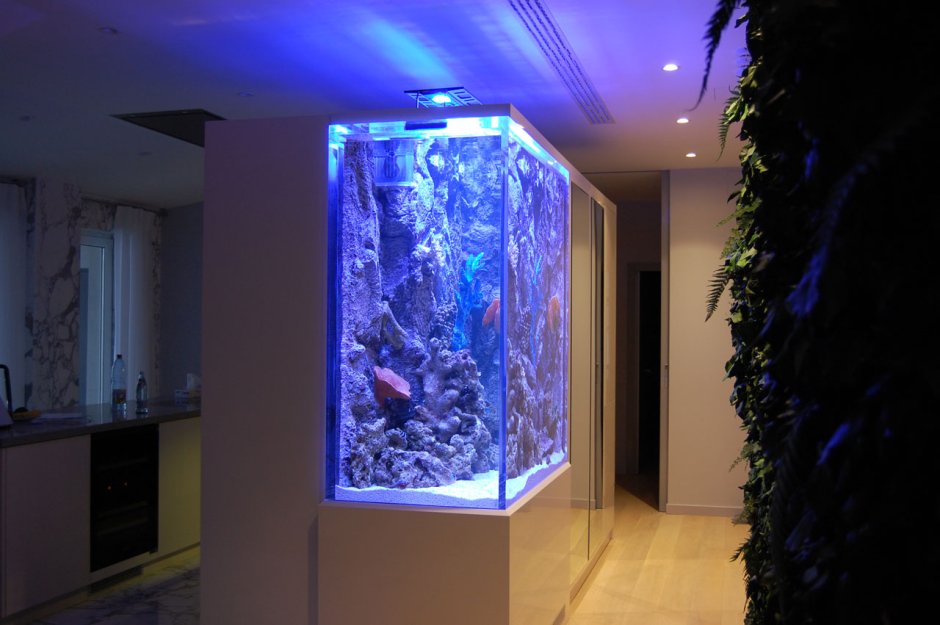 Вертикальный аквариум в интерьере