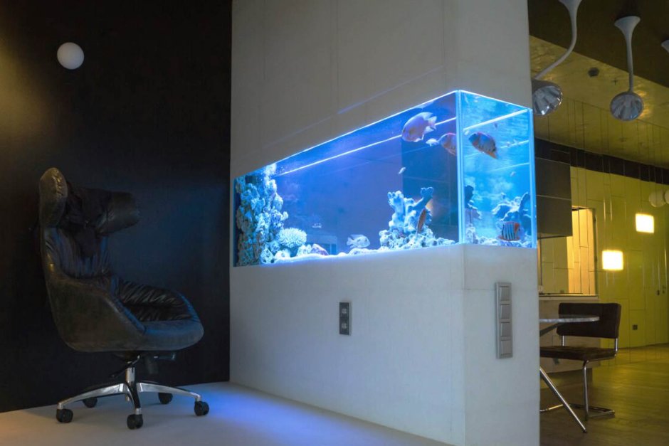 Встраиваемый аквариум в стену