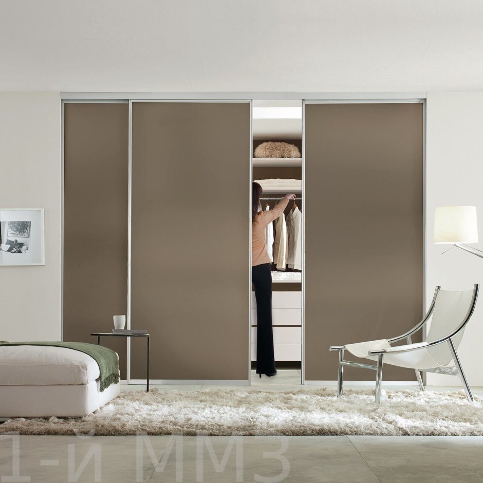 Шкаф встроенный Мистер Дорс