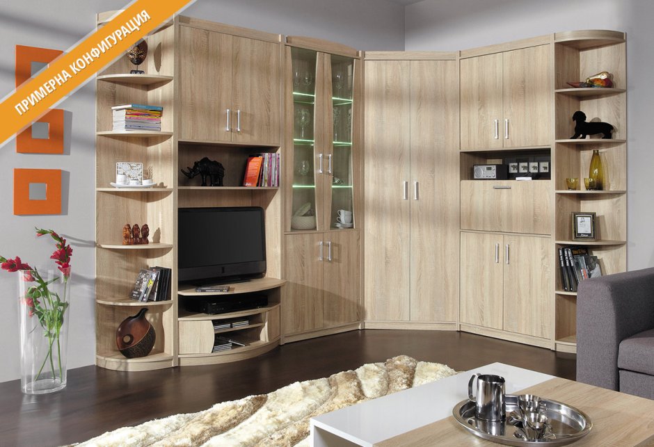 Стенка Рид мастер