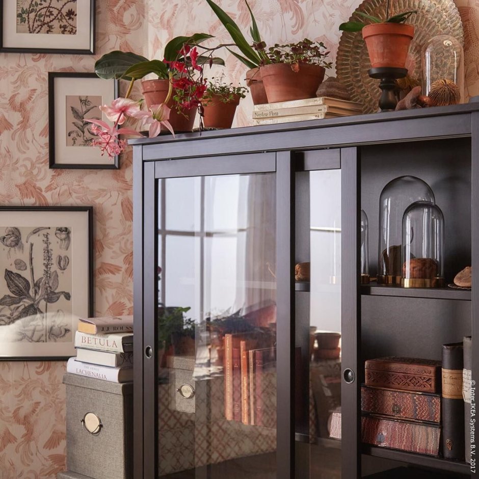 Шкаф витрина хавста в интерьере