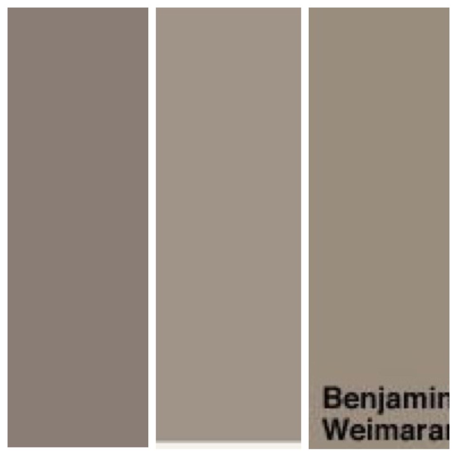 Цвет тауп палитра оттенков