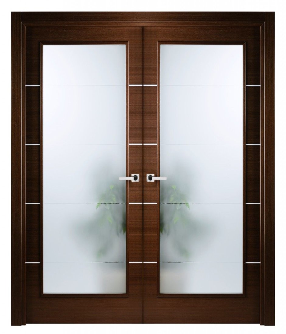 Двойная стеклянная дверь