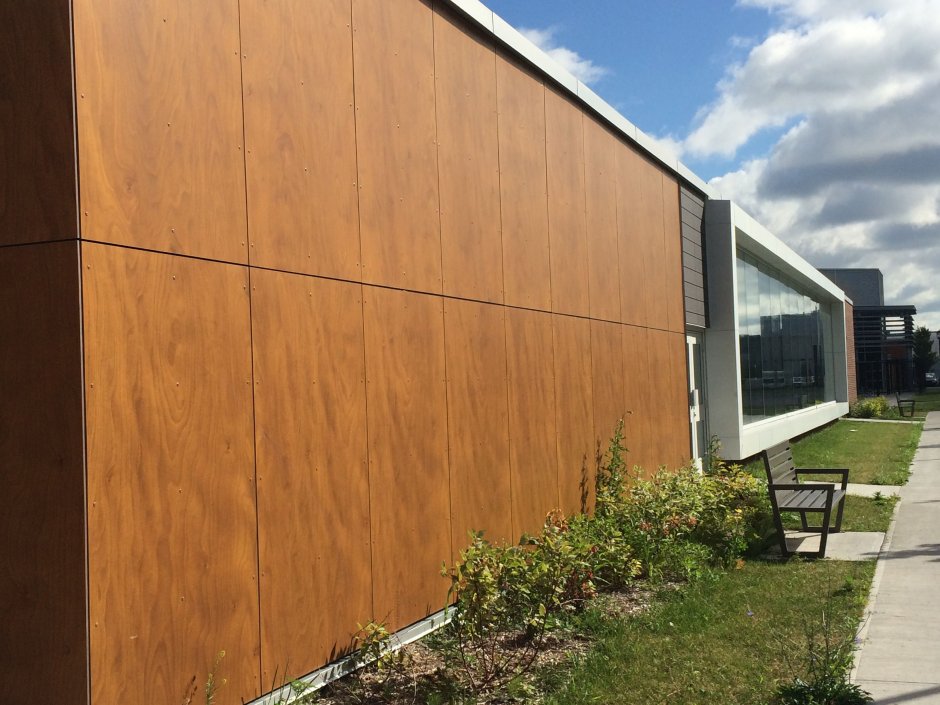 Дерево на фасаде общественного здания