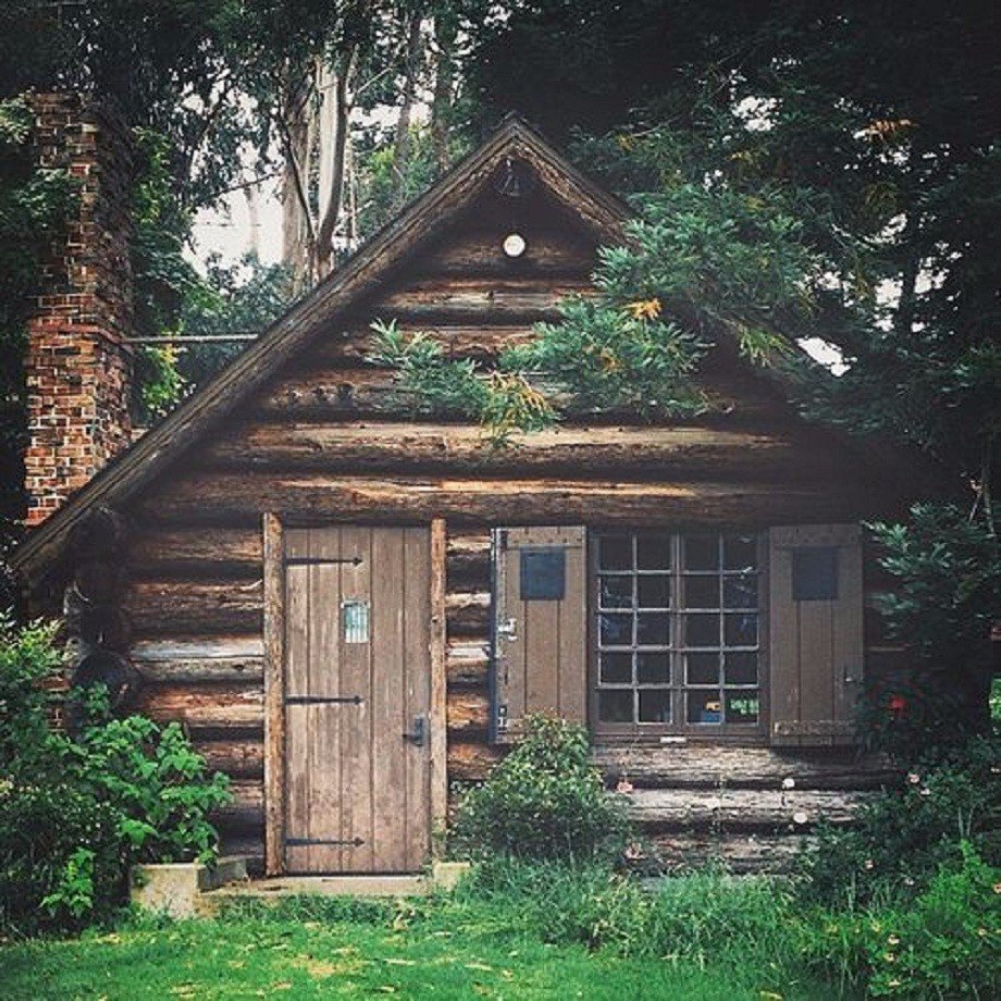 Хижина лесника в лесу