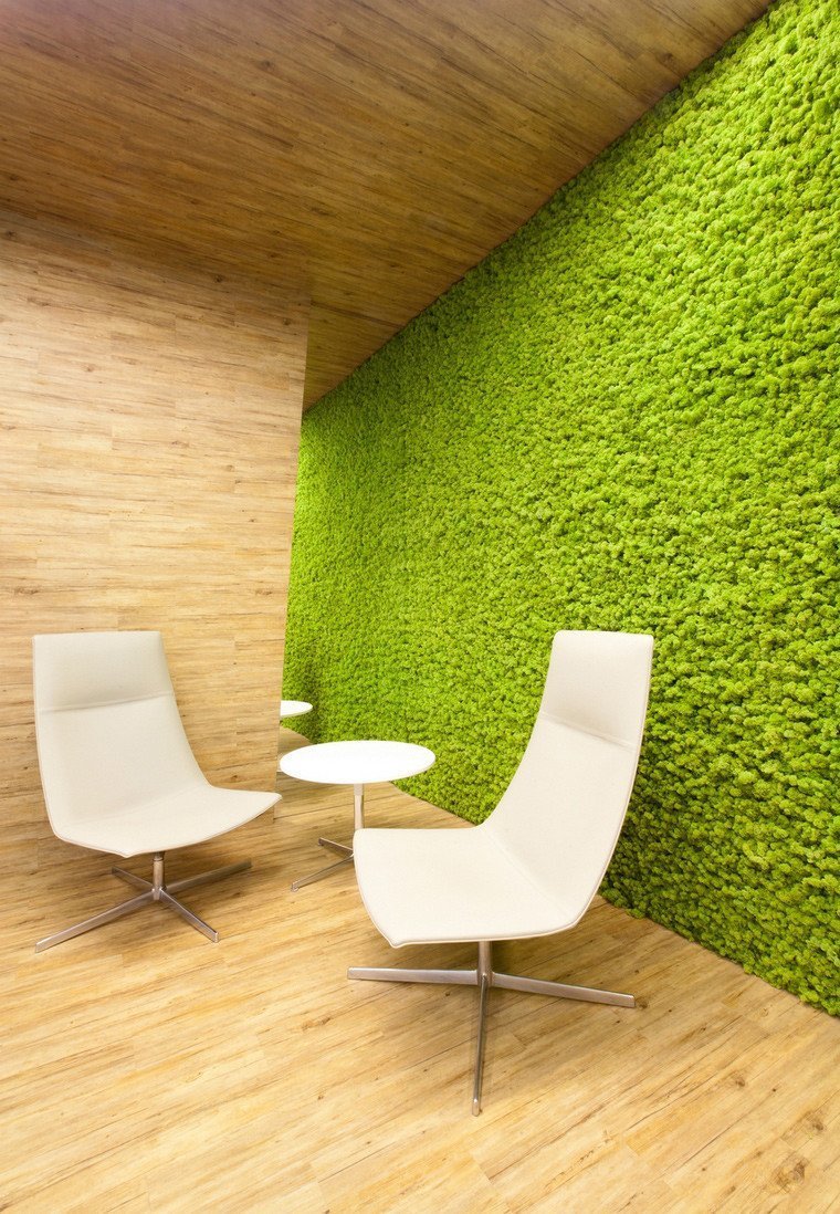 Мох в интерьере