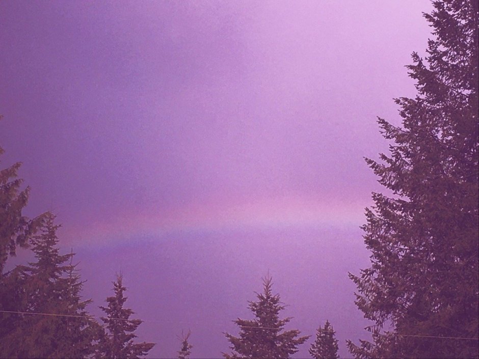 Коллаж в фиолетовых цветах