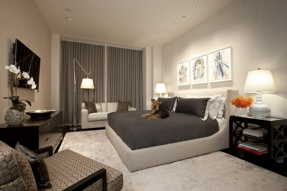 Зонирование спальня гостиная 20 кв.м