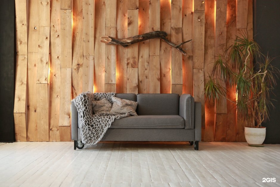 Дерево в фотостудии