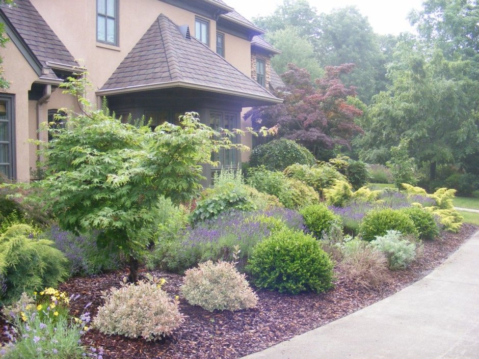 Вейгела в ландшафтном дизайне дачного участка