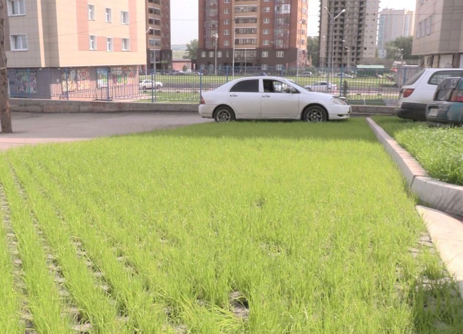 Экопарковка около КФУ