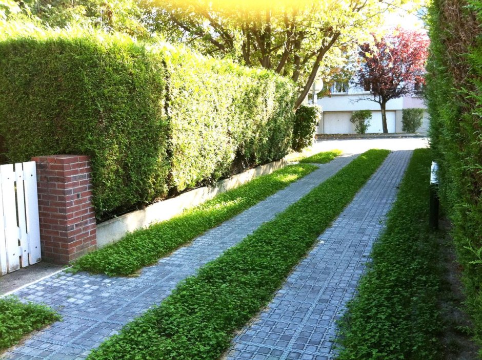 Подъездная дорожка к дому на участке