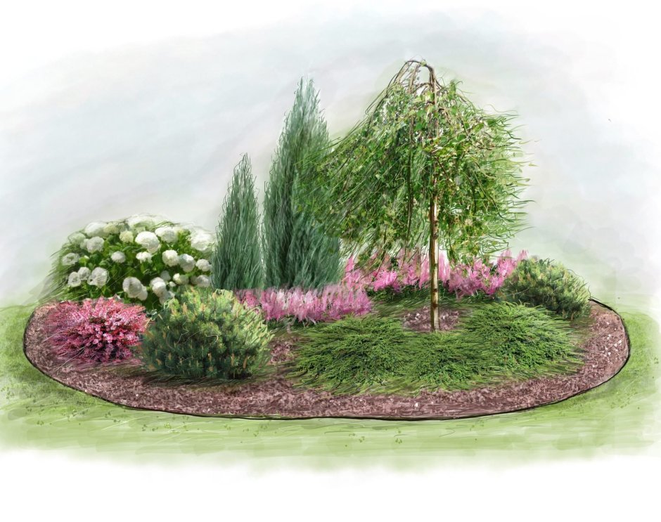 Миксбордер с кленом