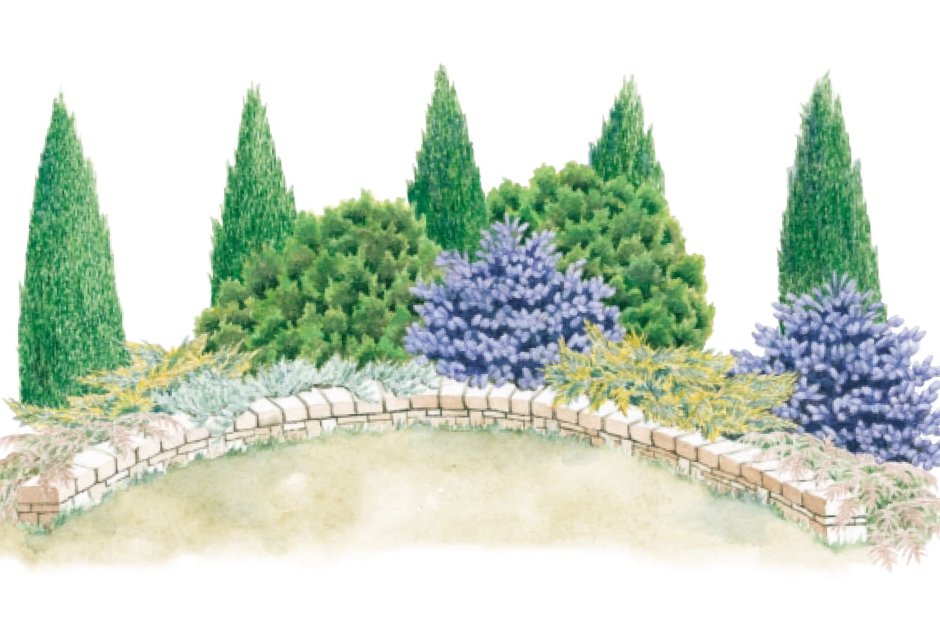 Угловые миксбордеры с хвойными