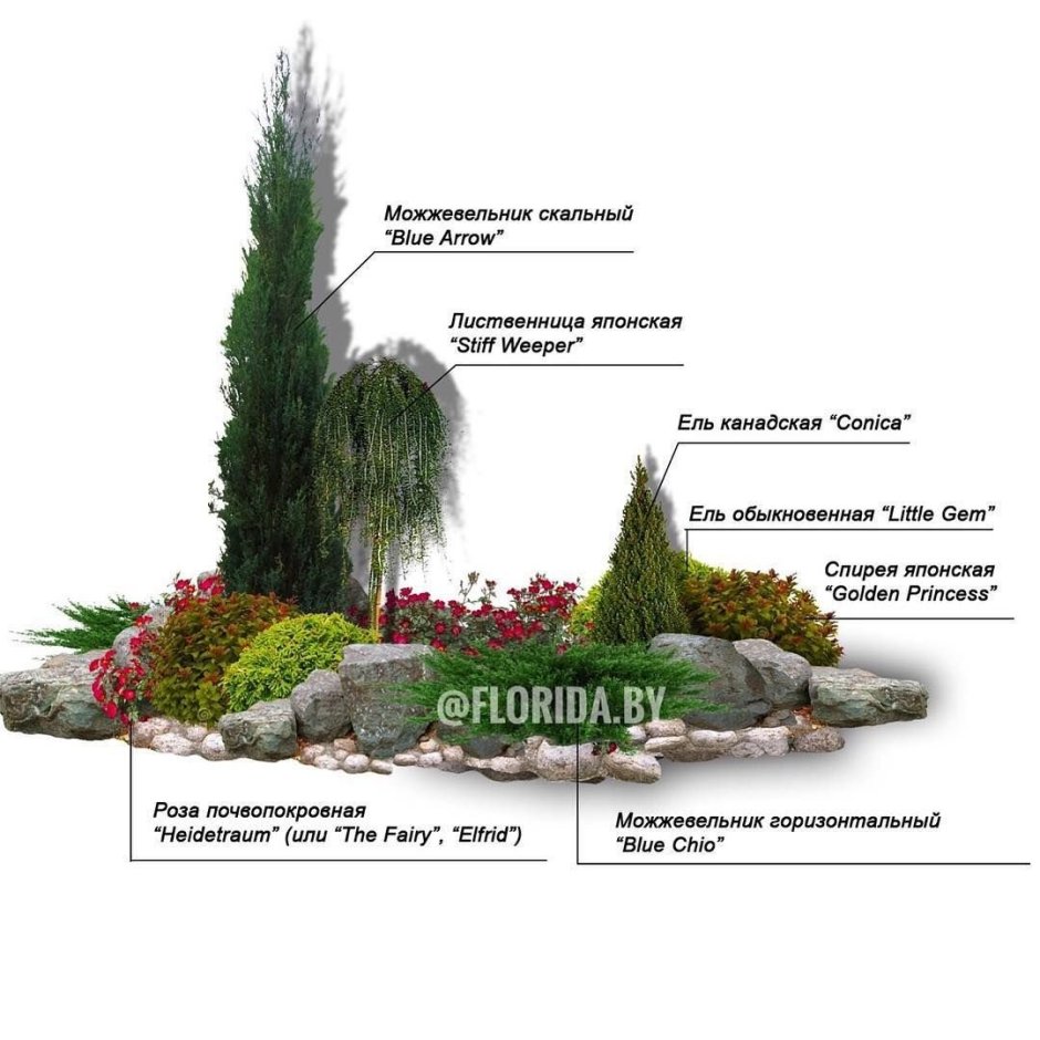 Рокарий с хвойниками схема