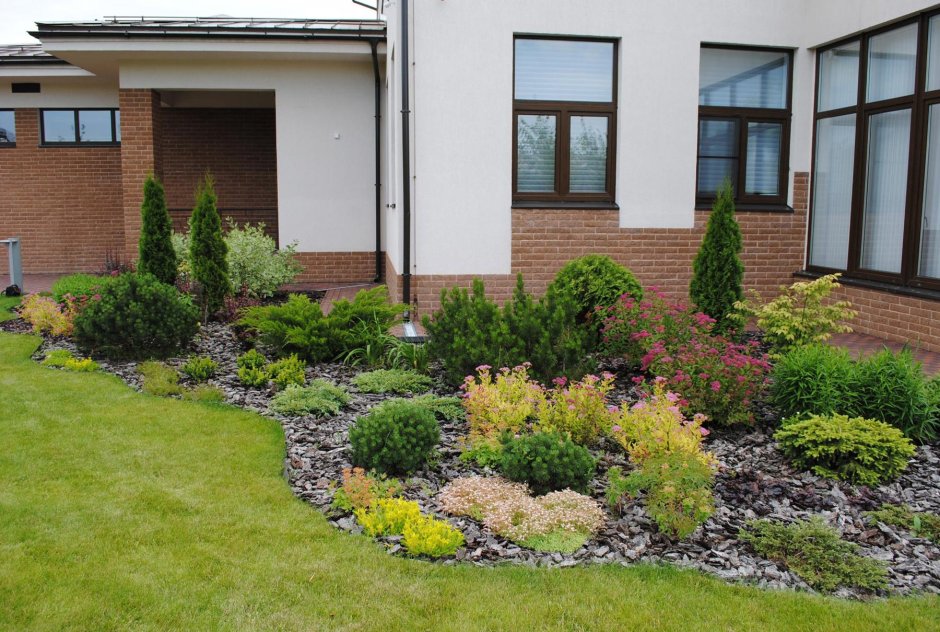 Можжевельник и лапчатка в ландшафтном