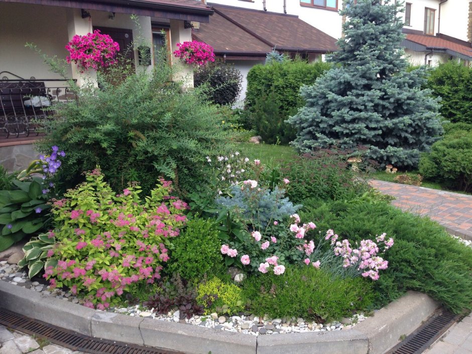 Миксбордер с елью и спиреей