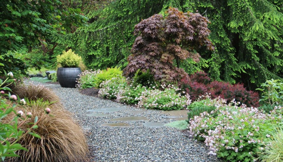 Евгения Воронцова ландшафтный дизайнер