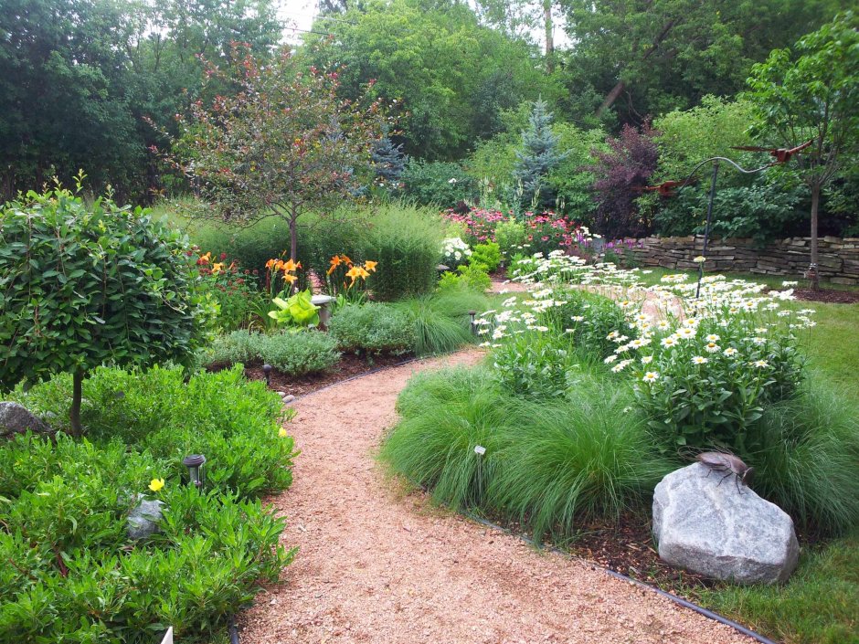 Лапчатка Голдфингер на клумбе