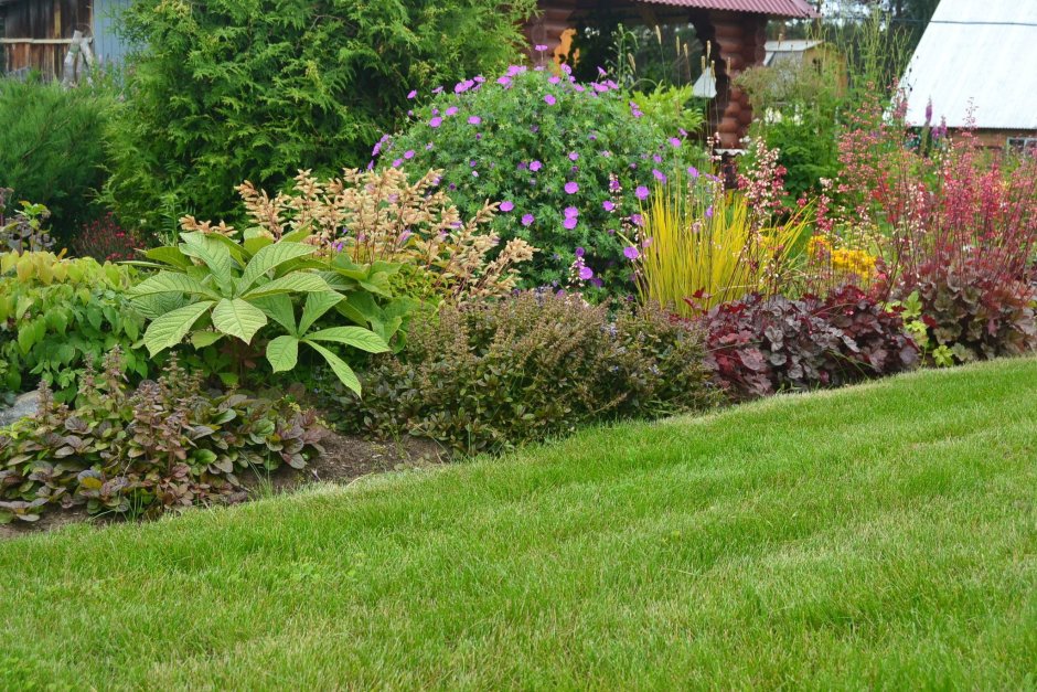 Альпийская горка с барбарисом Тунберга