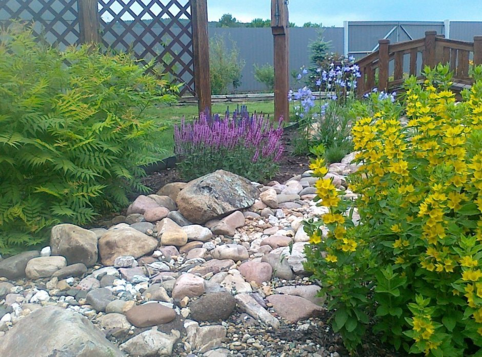 Дерен спирея Барбарис