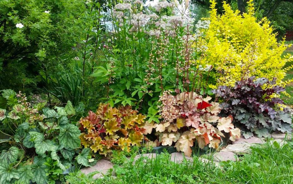 Альпийская горка миксбордер